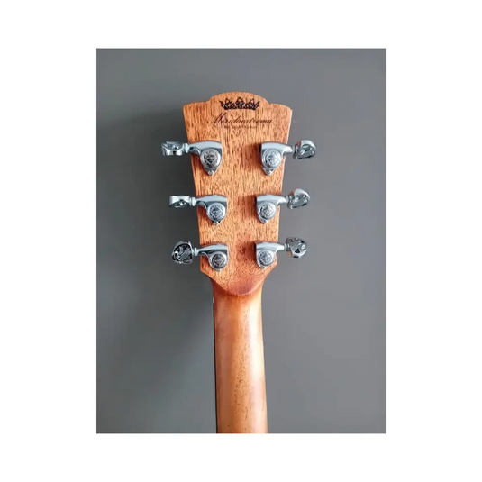 MERIDA M-15DCES Dreadnought+ISY201 Amplificata