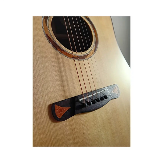 MERIDA A-17 DCE Dreadnought Amplificata
