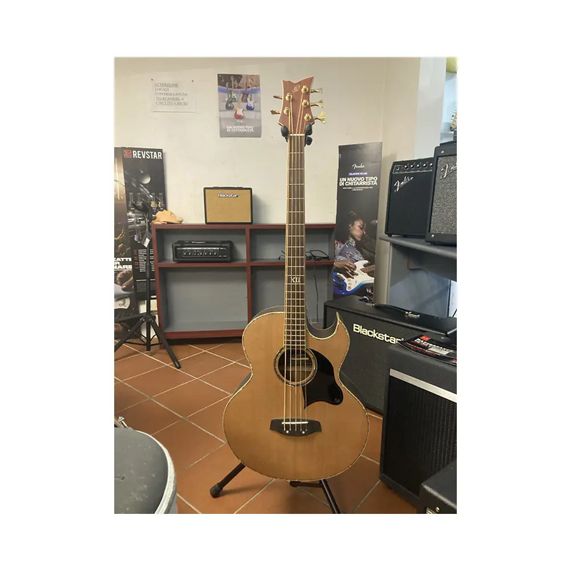 Carica immagine in Galleria Viewer, ORTEGA CHALLENGER C2-5 *USATO*
