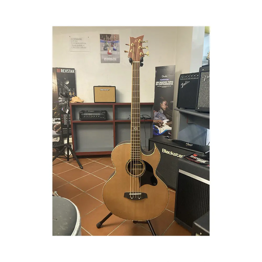 ORTEGA CHALLENGER C2-5 *USATO*