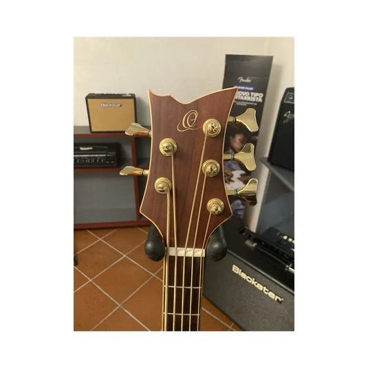 ORTEGA CHALLENGER C2-5 *USATO*