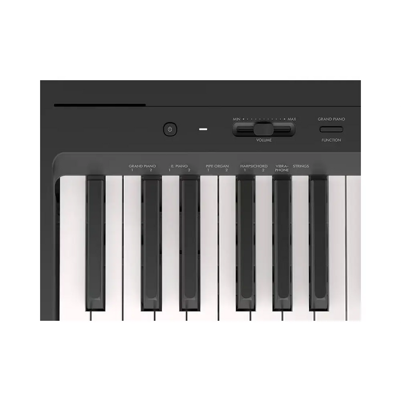 Carica immagine in Galleria Viewer, YAMAHA P-143B
