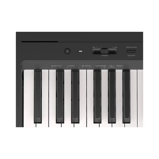 YAMAHA P-143B