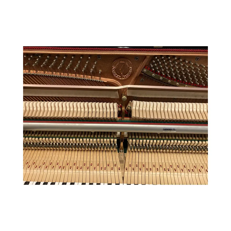 Carica immagine in Galleria Viewer, SCHULZE &amp; POLLMAN 113 *USATO*
