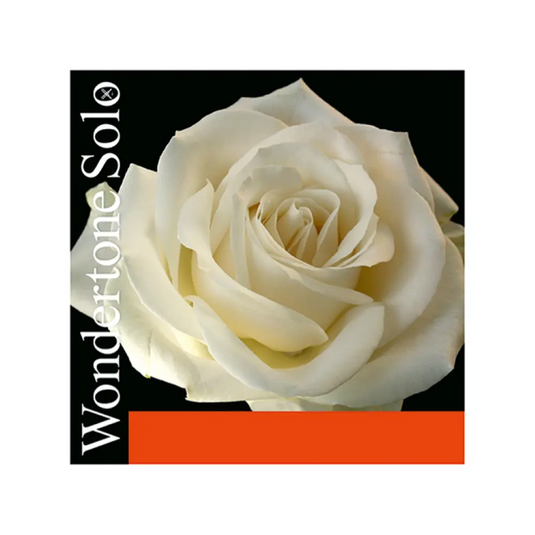 PIRASTRO WONDERTONE SOLO BALL MUTA - VIOLINO