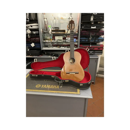 PRIVADA P18S Con Astuccio *USATO*