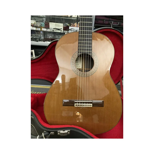 PRIVADA P18S Con Astuccio *USATO*