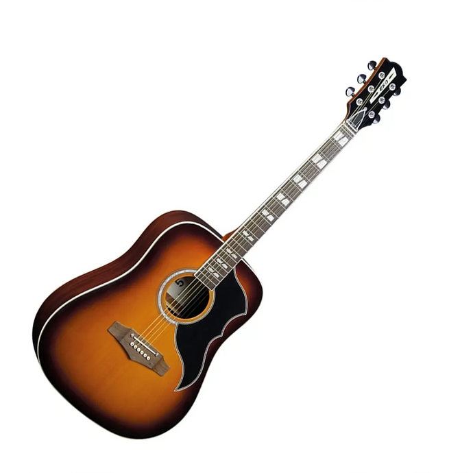EKO RANGER VI VR Eq Honey burst Amplificata