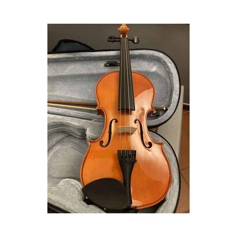 Carica immagine in Galleria Viewer, DOMUS RIALTO 3/4 VIOLINO con Astuccio *USATO*
