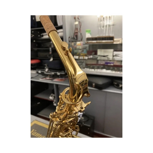 FLORET MPAS 301 SAX ALTO Mib CON ASTUCCIO SEMIRIGIDO *USATO*