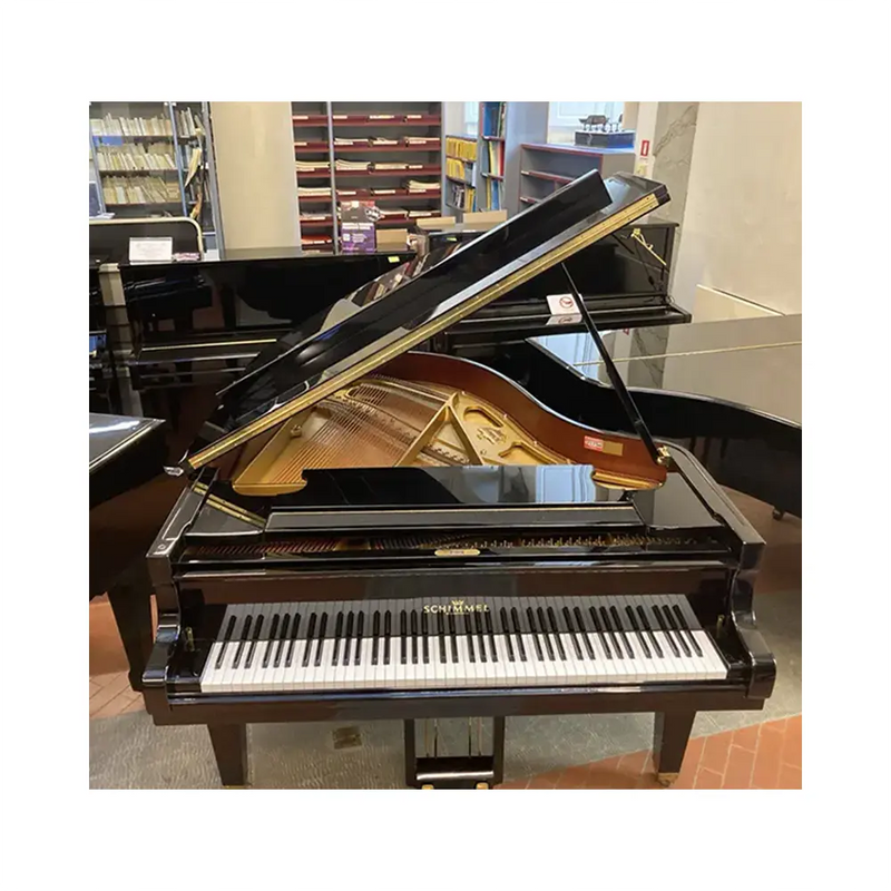Carica immagine in Galleria Viewer, SCHIMMEL SP174 *USATO*
