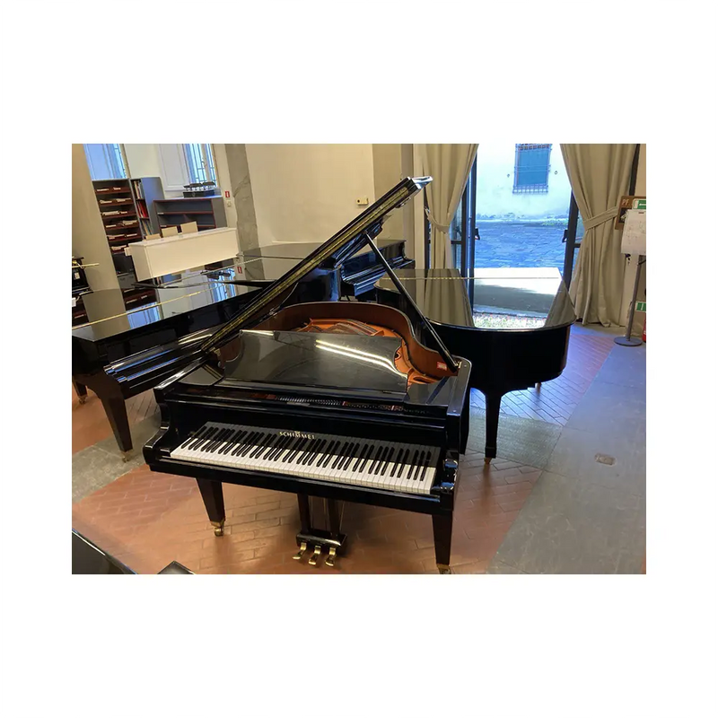 Carica immagine in Galleria Viewer, SCHIMMEL 174T *USATO*
