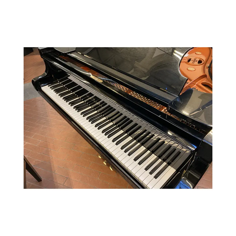 Carica immagine in Galleria Viewer, SCHIMMEL 174T *USATO*
