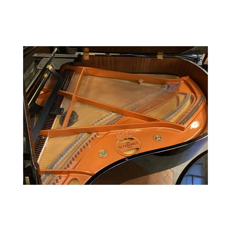 Carica immagine in Galleria Viewer, SCHIMMEL 174T *USATO*
