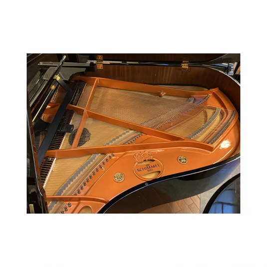 SCHIMMEL 174T *USATO*
