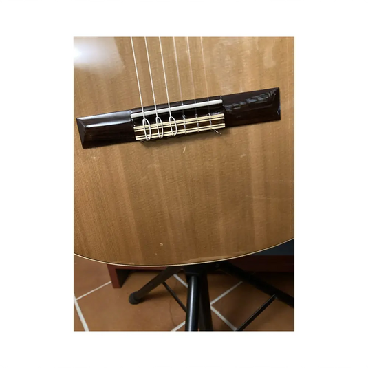 TORRES JOSE JTC 10 CE Amplificata *USATO*