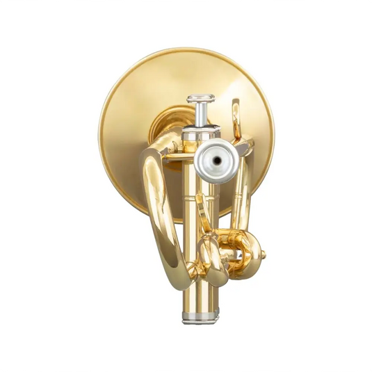 GRASSI TR20SK Tromba Master Laccata con Accordatore e Letturino