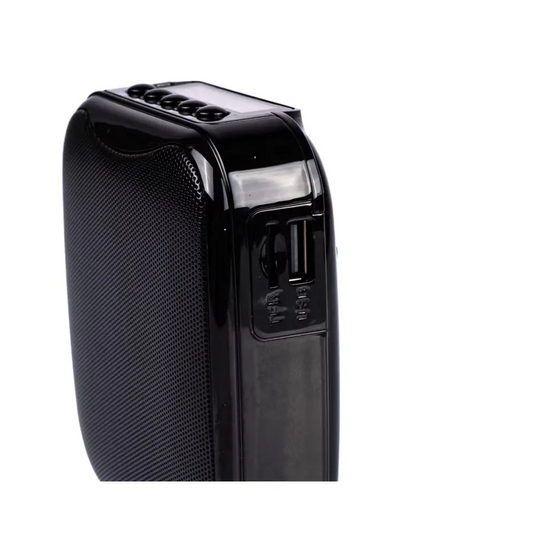 AUDIO DESIGN PRO PA Voce  MINI AMPLIFICATORE Wireless