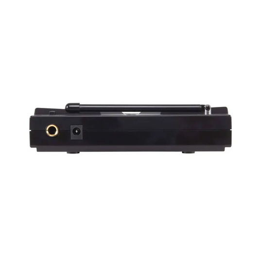 EIKON WM101MV2 RADIO MICROFONO