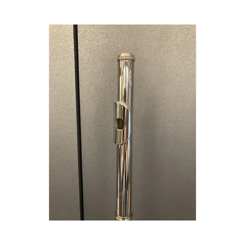 Carica immagine in Galleria Viewer, YAMAHA YFL311 con Astuccio *USATO*
