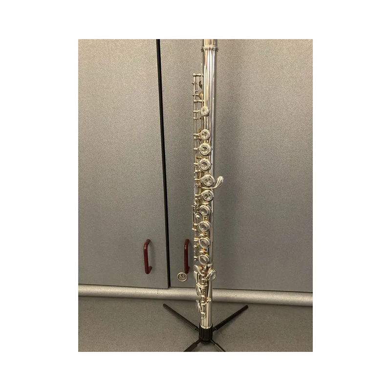 Carica immagine in Galleria Viewer, YAMAHA YFL311 con Astuccio *USATO*
