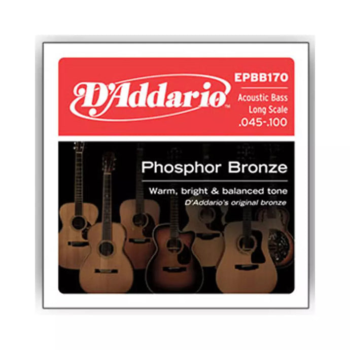 D’ADDARIO EPBB170 45-100