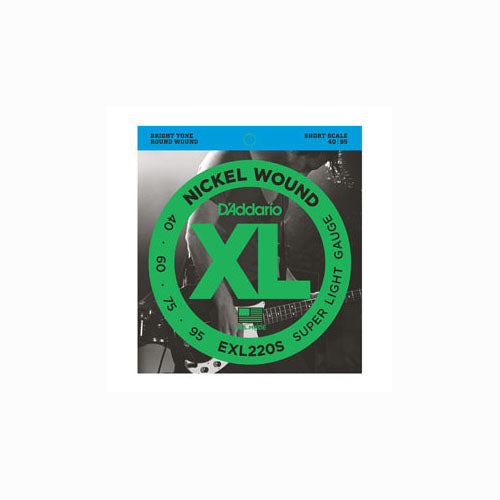 D'ADDARIO EXL220S 45-100