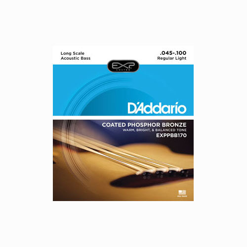D’ADDARIO EXPPBB170 45-100