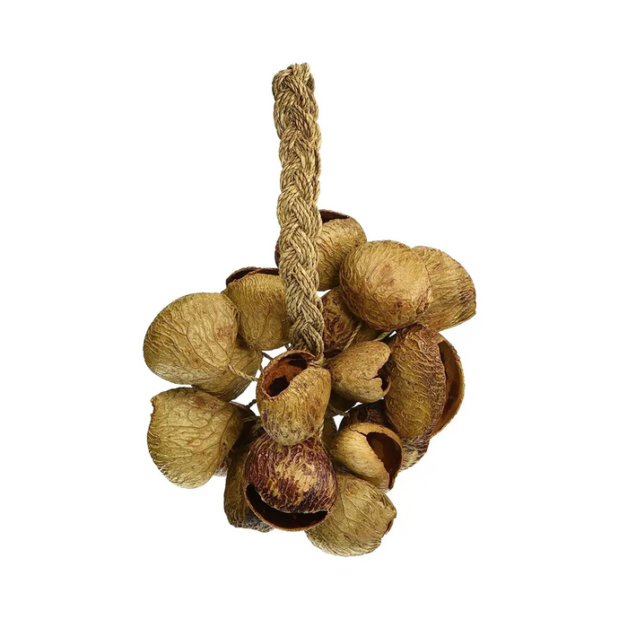 Toca T-Ss Seed Shell Shaker