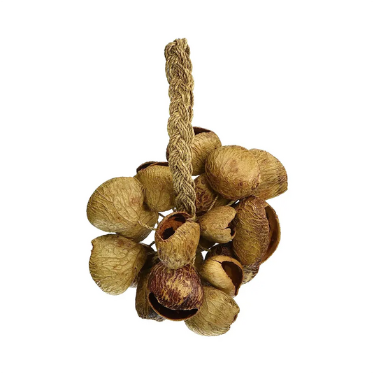 Toca T-Ss Seed Shell Shaker