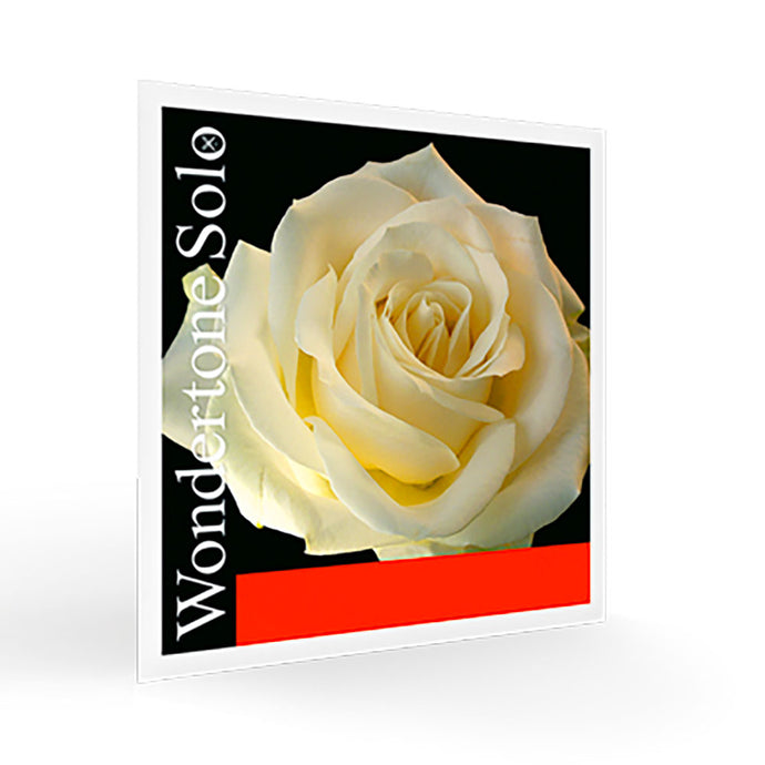 PIRASTRO WONDERTONE SOLO SOL - VIOLINO